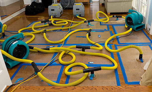 Professional Water Extraction technician working in Placentia, CA